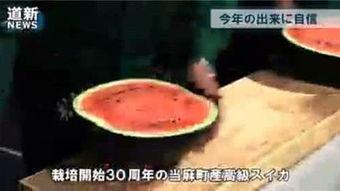 一起来吃瓜在哪玩,揭秘热门游戏聚集地