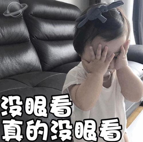 吃瓜娱乐圈金子涵