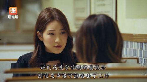 娱乐圈吃瓜日常小说