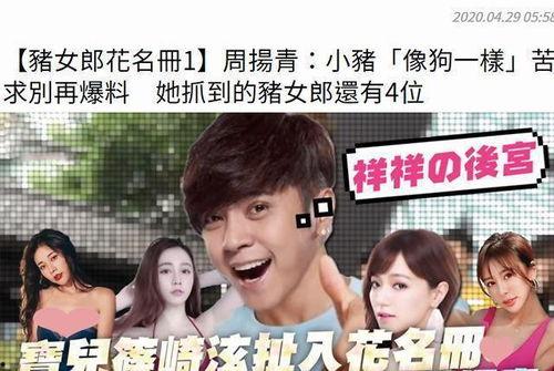 娱乐圈吃瓜日常小说