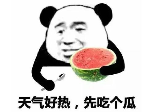 娱乐吃瓜酱不要早谈,揭秘娱乐圈那些不为人知的幕后故事