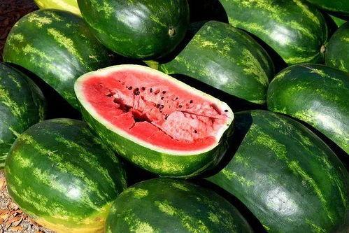 吃瓜汇总2021