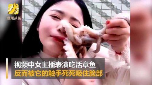 娱乐吃瓜酱章鱼视频,娱乐吃瓜酱独家视频解析